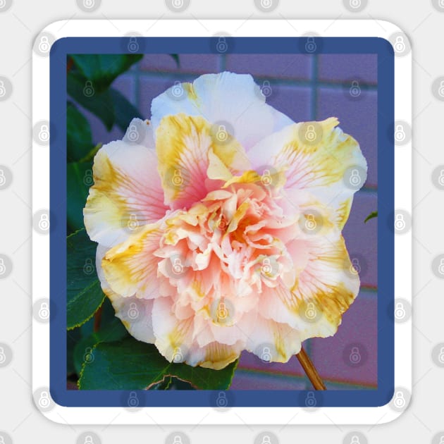 Camellia Sticker by FriendlyComputerHelp